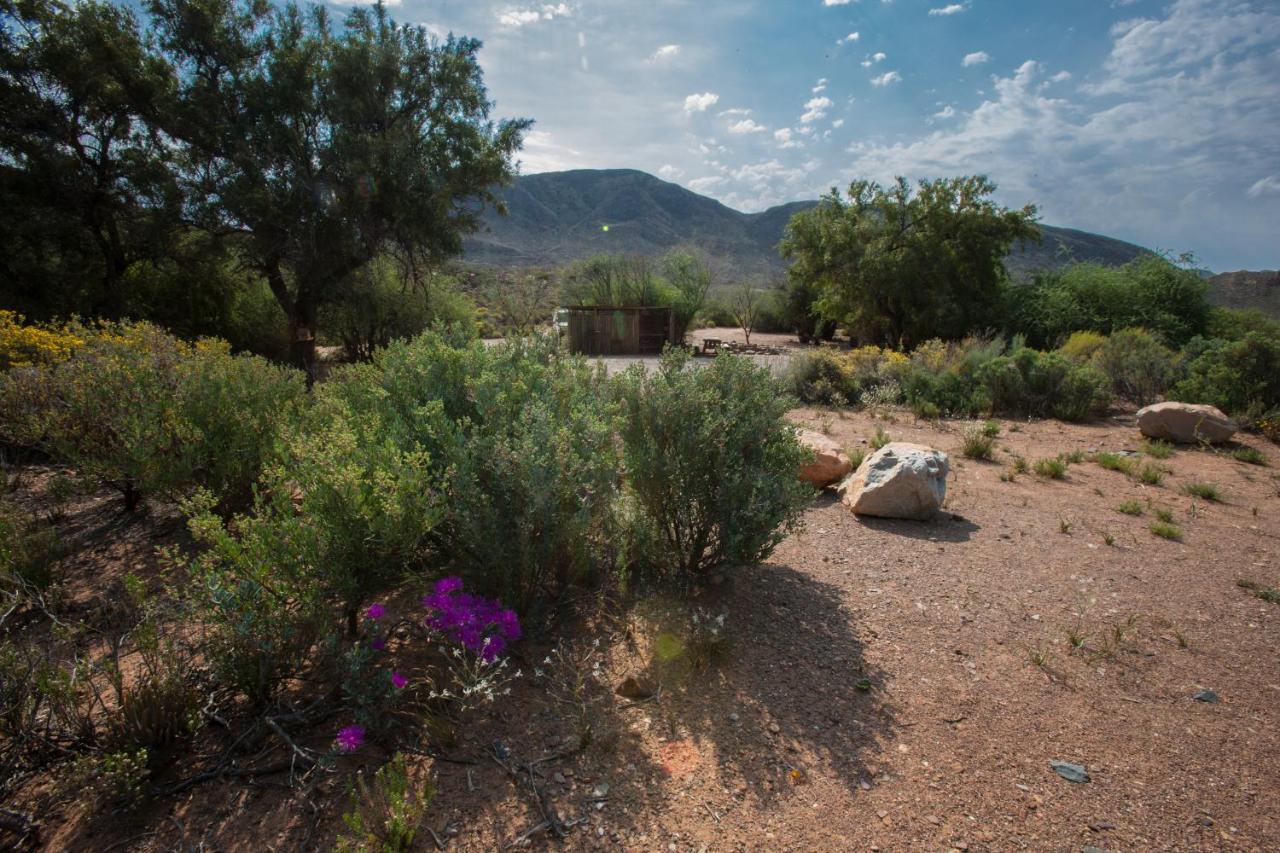 Gecko Rock Private Nature Reserve Goedgemoed Exterior foto